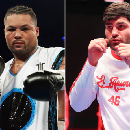 Joyce to Face Hrgovic After Whyte Fight Falls Through