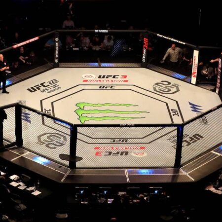 UFC 316: The Quest for Dominance and Redemption in the Octagon