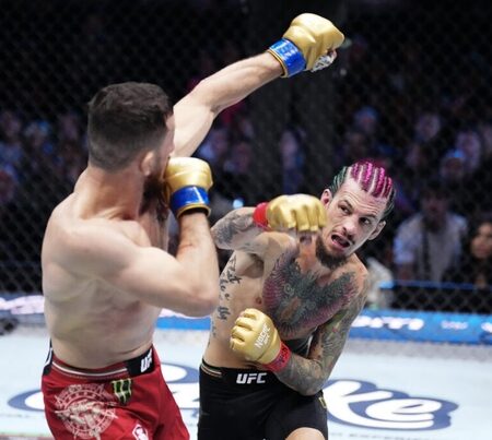 UFC 316: The Bantamweight Rematch That Matters