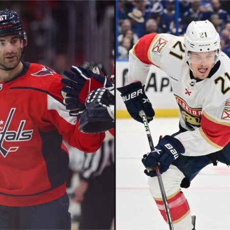 The Remaining Gems: Top NHL Free Agents Still Available