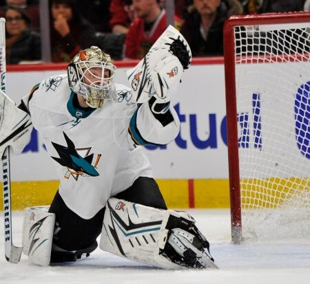 San Jose Sharks Secure Goaltender Jakub Skarek on One-Year Deal
