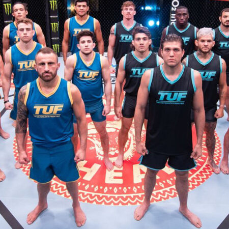 The Octagon Awaits: TUF 33 Quarterfinals Conclude, Setting Stage for Intense Semifinals