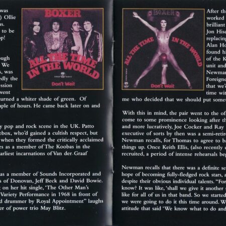 Beyond the Belt: The Escalating Stakes of Modern Boxing Incentives