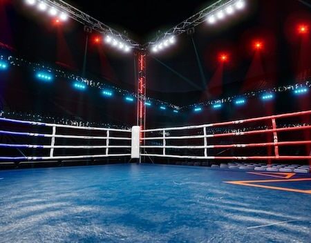 The Emerald Isle Ringside: Windsor Park Set for Boxing Spectacle