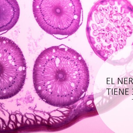 A Double Dose of Controversy: Boxing’s Integrity Under the Microscope