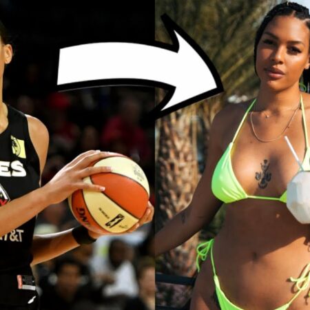 WNBA Courts See Bizarre Invasions: Understanding the Unprecedented Sex Toy Incidents