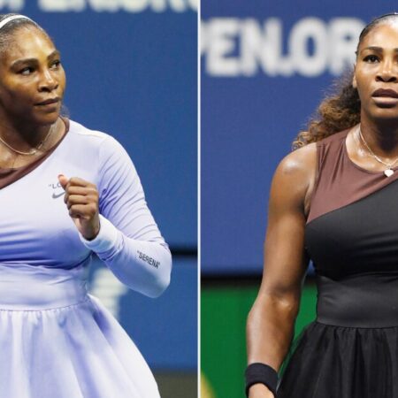 Beyond the Boll: Serena Williams on Decorative Cotton and Lingering Legacies