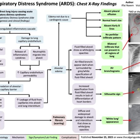 The Beijing Battle: When “Insufficient Effort” Meets Acute Physical Distress